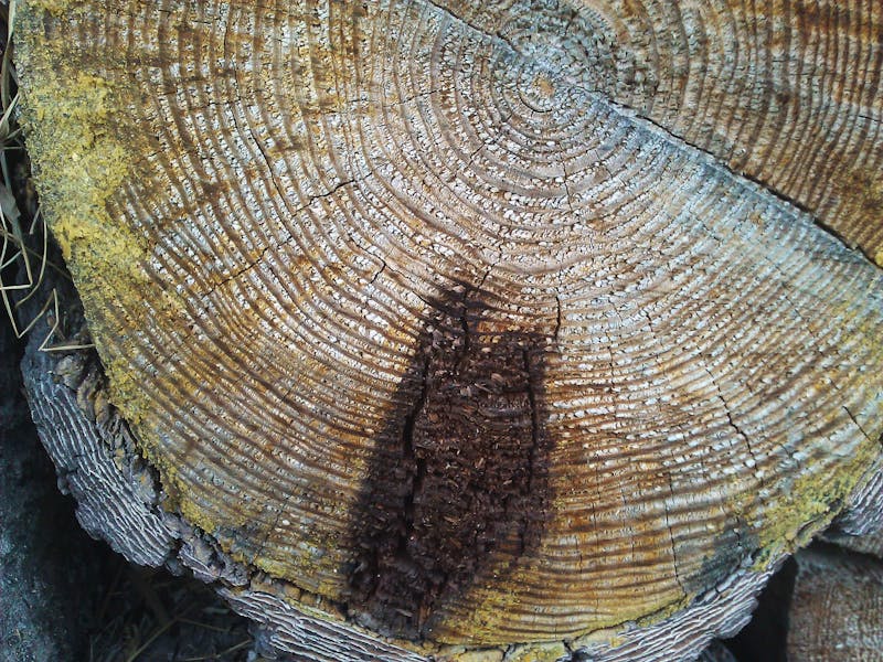 هل يصح صيام يوم عرفه يوم الجمعه منفردا