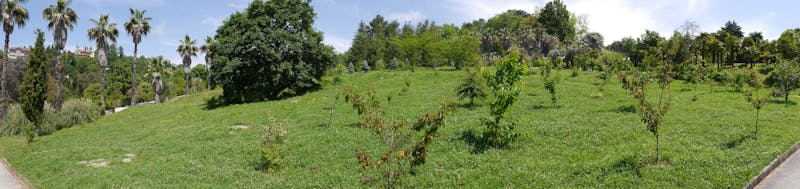 اماكن حفلات رأس السنة الكريسماس في مصر 2021