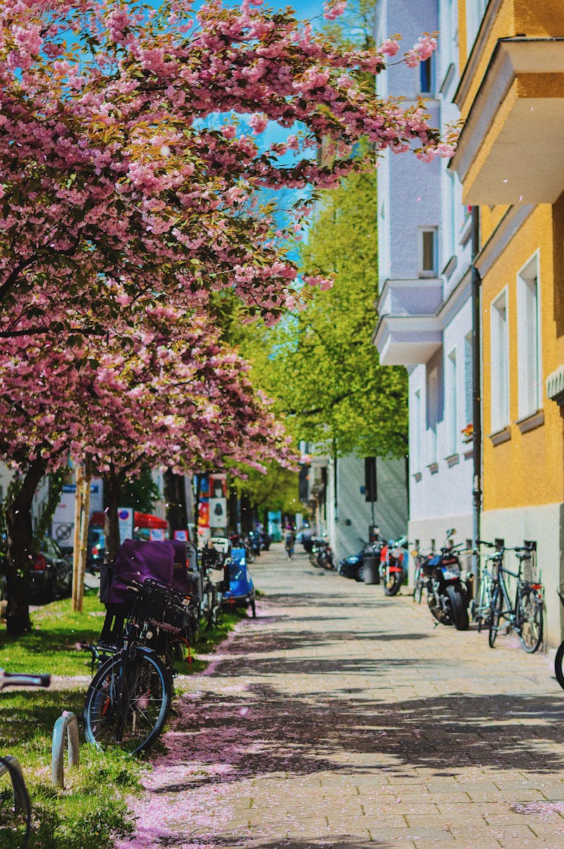 هل يجوز صلاة الخسوف في البيت للرجال اسلام ويب