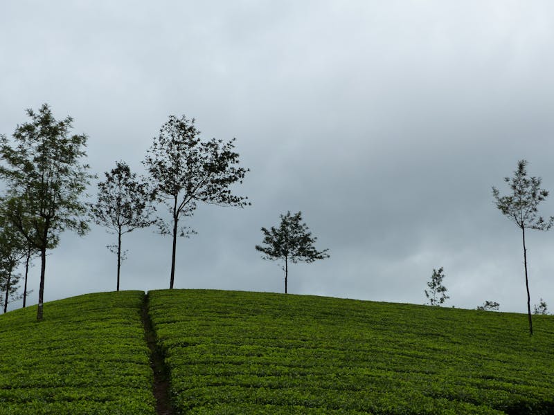 طريقة تنظيف درج الغسالة الأتوماتيك