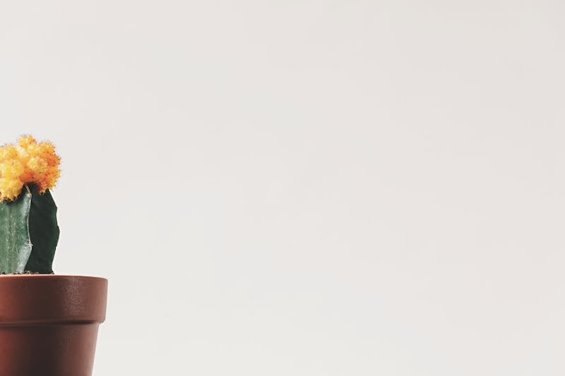 هل دواء ميدوكالم مخدرات