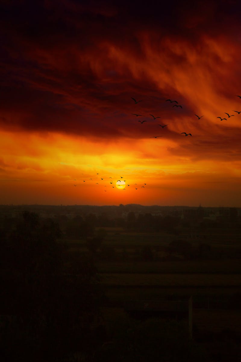 شروط التسجيل في تطبيق كيان