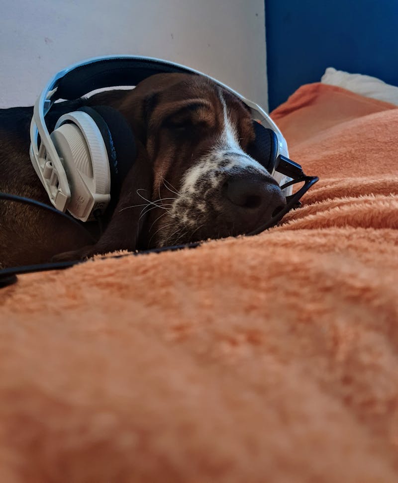 اسرار الدراسة الذكية