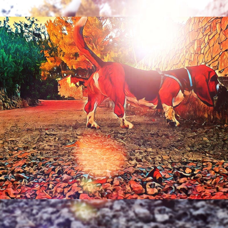 أسباب حدوث الثورة الأمريكية و أهم أحداثها