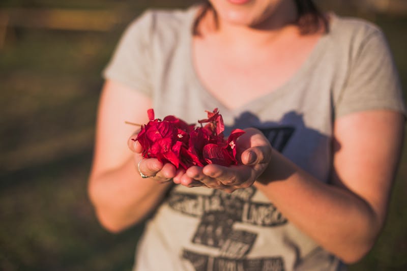 هل من قال لا اعلم فقد افتى حديث