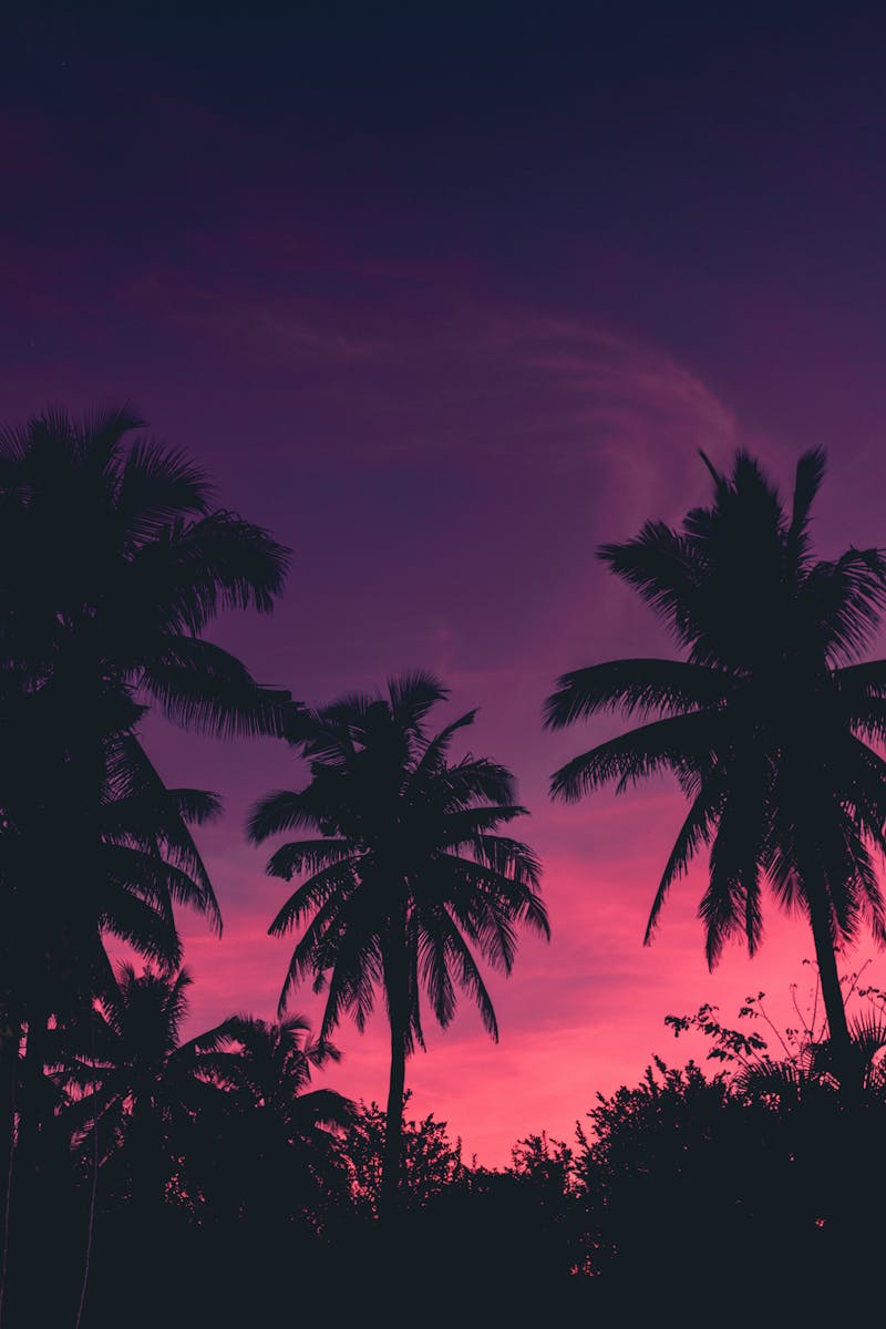 اسماء الفيتامينات وأعراض نقصها